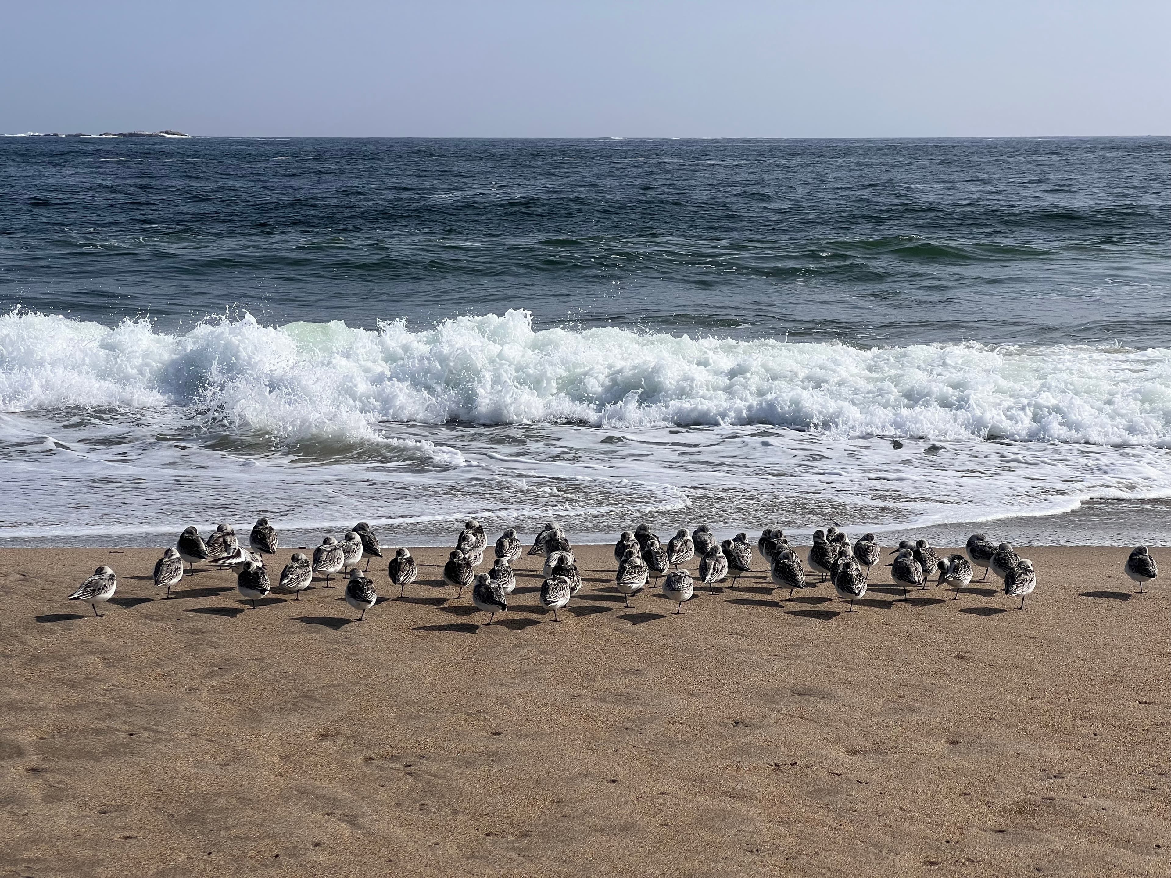 Further afield in Maine