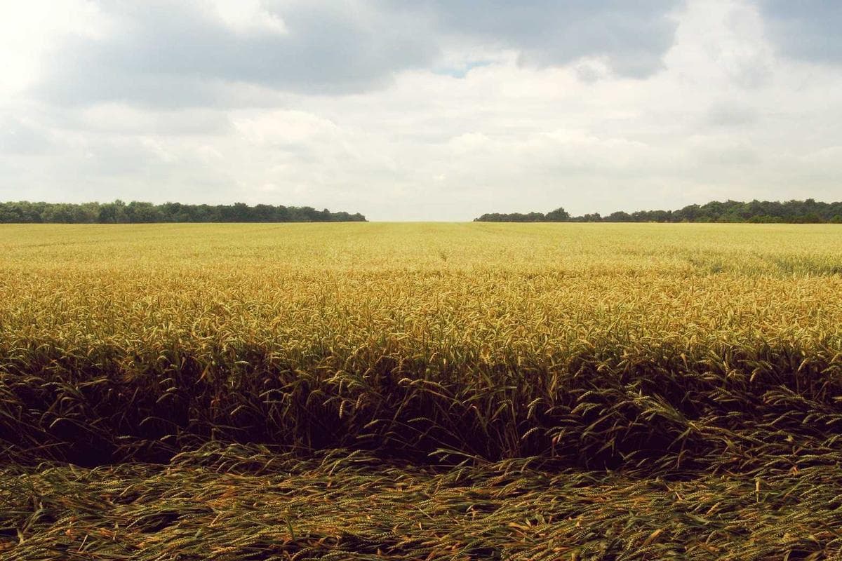Views & Surroundings at Ocean Point House